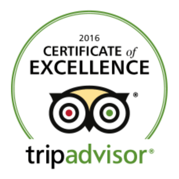 Certificate of Excellence 2023